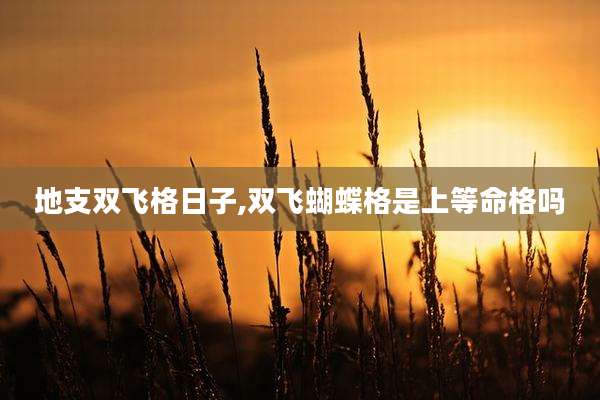 地支双飞格日子,双飞蝴蝶格是上等命格吗