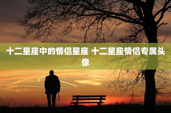 十二星座中的情侣星座 十二星座情侣专属头像