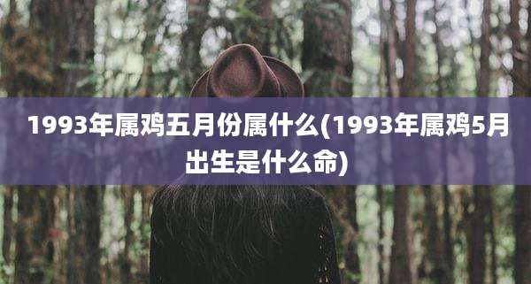 1993年属鸡五月份属什么(1993年属鸡5月出生是什么命)