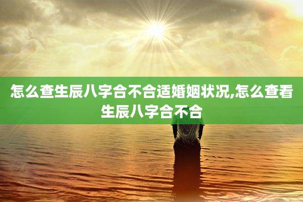 怎么查生辰八字合不合适婚姻状况,怎么查看生辰八字合不合