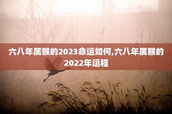 六八年属猴的2023命运如何,六八年属猴的2022年运程