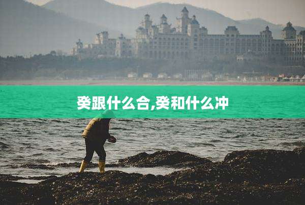 癸跟什么合,癸和什么冲
