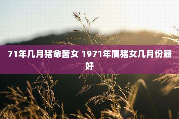 71年几月猪命苦女 1971年属猪女几月份最好