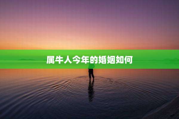 属牛人今年的婚姻如何