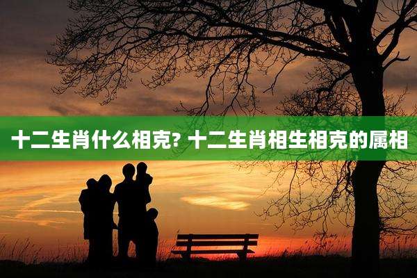 十二生肖什么相克? 十二生肖相生相克的属相
