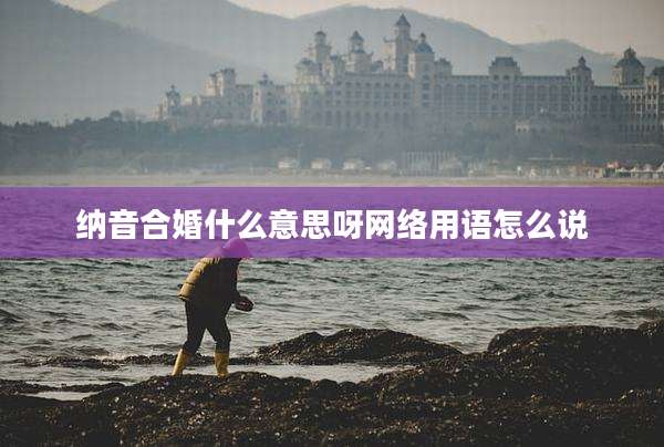 纳音合婚什么意思呀网络用语怎么说