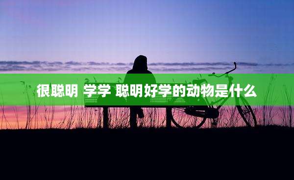 很聪明 学学 聪明好学的动物是什么
