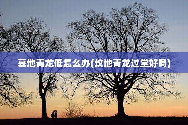 墓地青龙低怎么办(坟地青龙过堂好吗)
