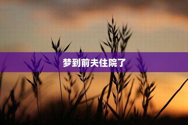梦到前夫住院了