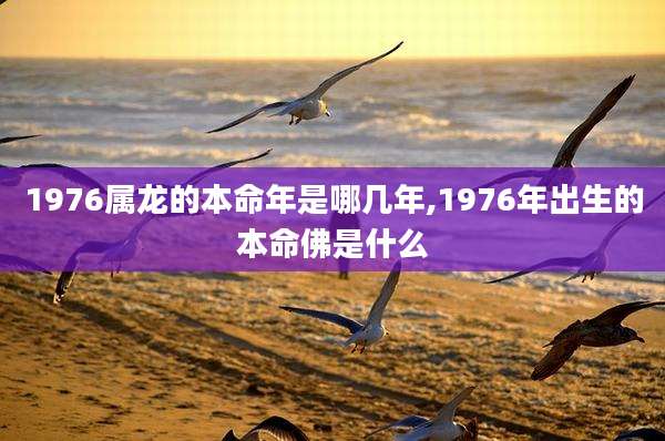 1976属龙的本命年是哪几年,1976年出生的本命佛是什么