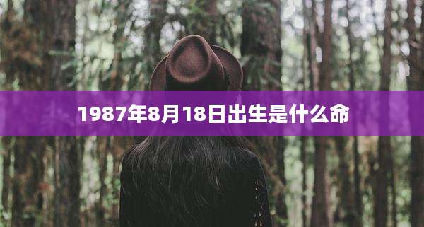 1987年8月18日出生是什么命
