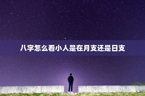 八字怎么看小人是在月支还是日支