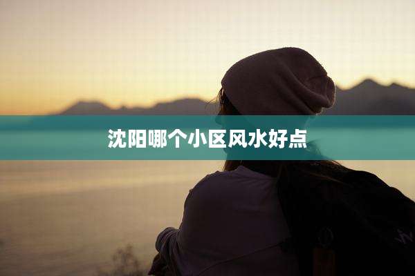 沈阳哪个小区风水好点
