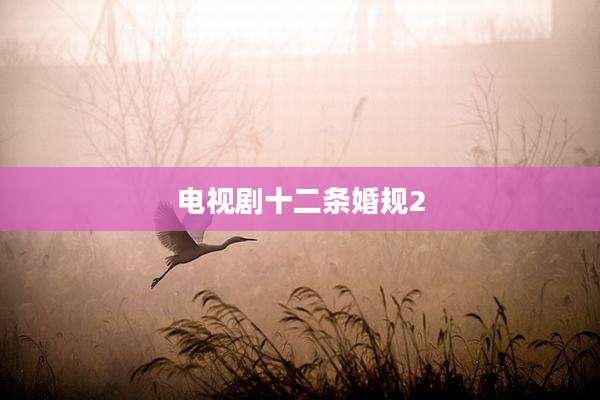 电视剧十二条婚规2