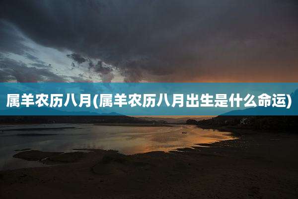 属羊农历八月(属羊农历八月出生是什么命运)