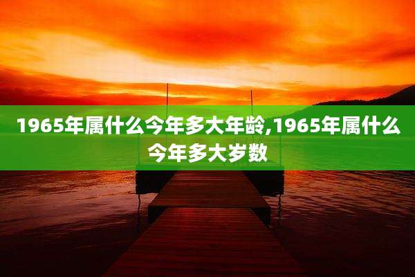 1965年属什么今年多大年龄,1965年属什么今年多大岁数