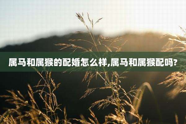 属马和属猴的配婚怎么样,属马和属猴配吗?