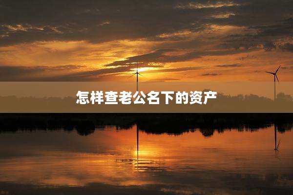 怎样查老公名下的资产