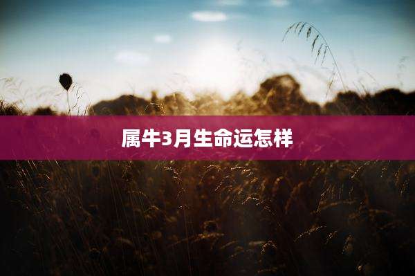 属牛3月生命运怎样
