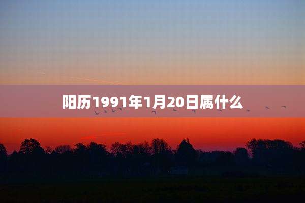 阳历1991年1月20日属什么