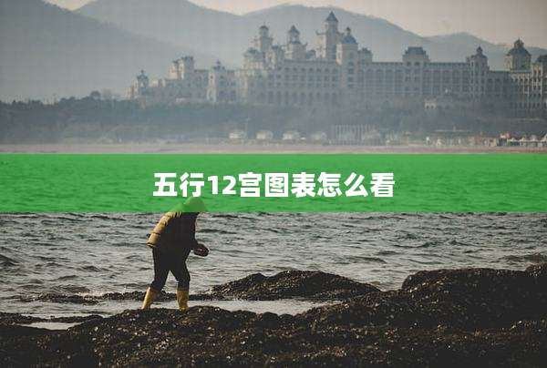 五行12宫图表怎么看