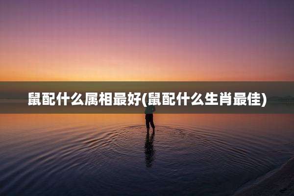 鼠配什么属相最好(鼠配什么生肖最佳)