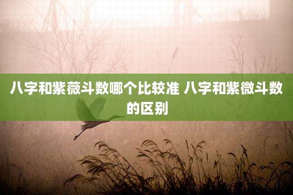 八字和紫薇斗数哪个比较准 八字和紫微斗数的区别