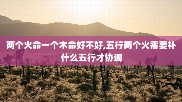 两个火命一个木命好不好,五行两个火需要补什么五行才协调