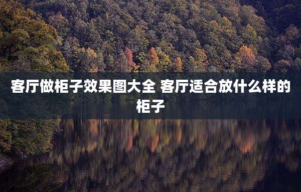 客厅做柜子效果图大全 客厅适合放什么样的柜子