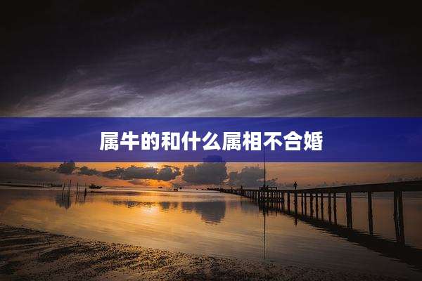 属牛的和什么属相不合婚