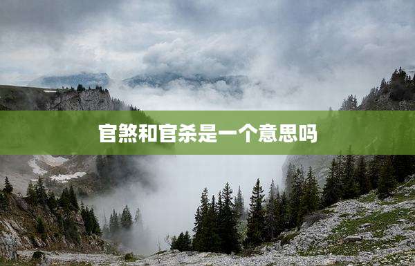 官煞和官杀是一个意思吗