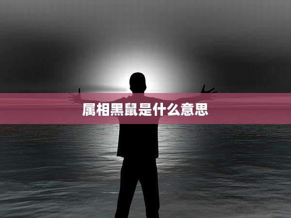 属相黑鼠是什么意思