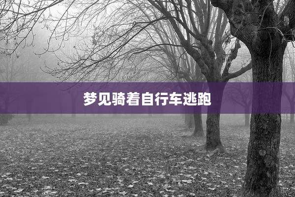 梦见骑着自行车逃跑