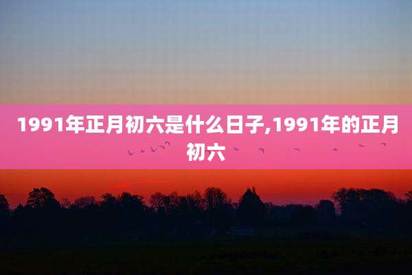 1991年正月初六是什么日子,1991年的正月初六