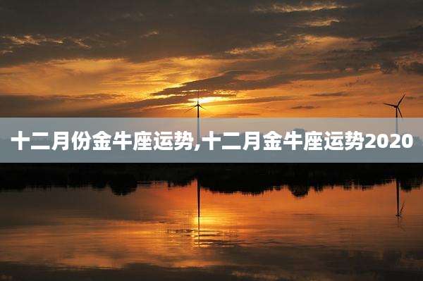 十二月份金牛座运势,十二月金牛座运势2020