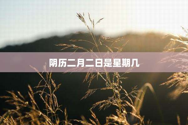 阴历二月二日是星期几