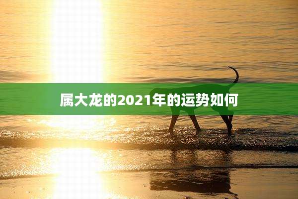属大龙的2021年的运势如何