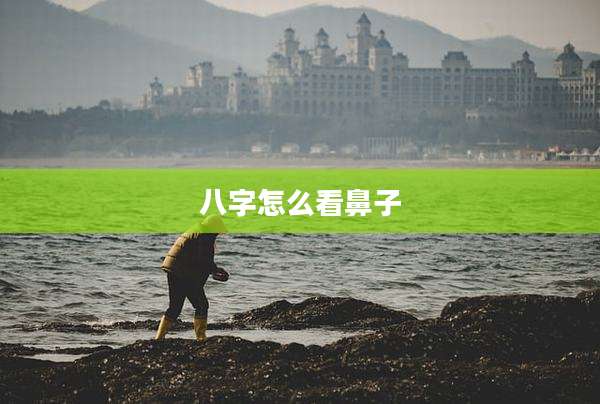 八字怎么看鼻子