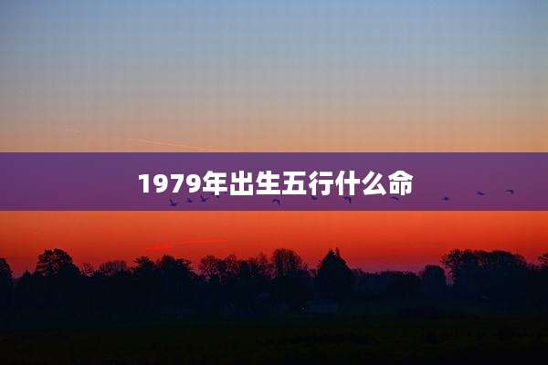 1979年出生五行什么命