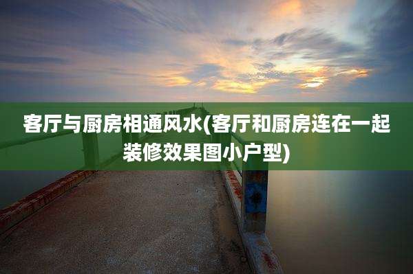 客厅与厨房相通风水(客厅和厨房连在一起装修效果图小户型)