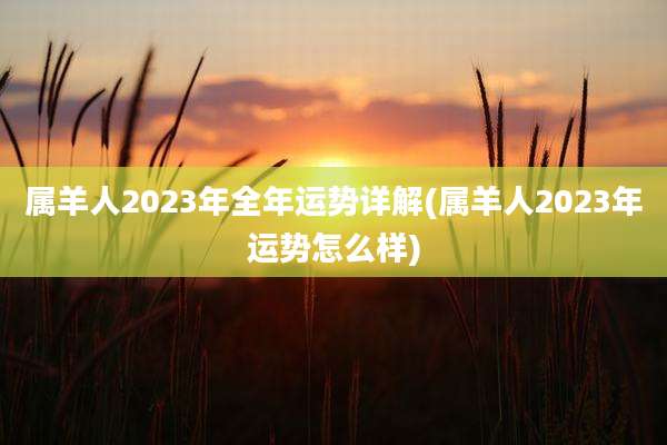属羊人2023年全年运势详解(属羊人2023年运势怎么样)