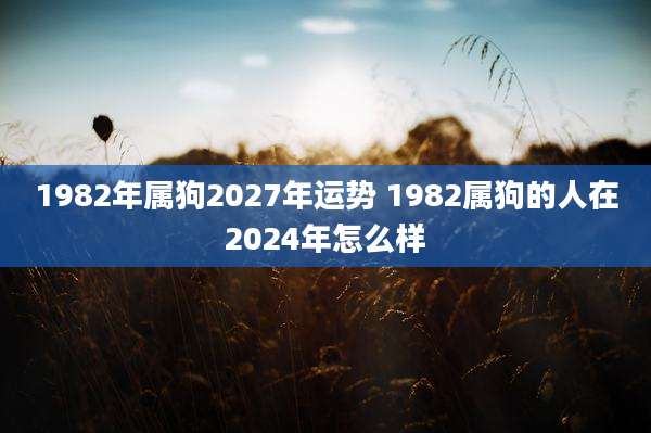1982年属狗2027年运势 1982属狗的人在2024年怎么样