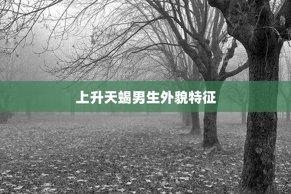 上升天蝎男生外貌特征