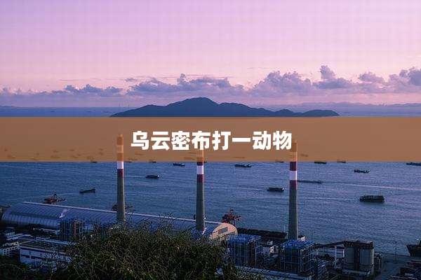 乌云密布打一动物