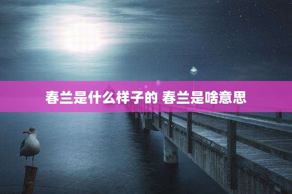 春兰是什么样子的 春兰是啥意思