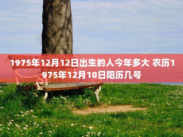 1975年12月12日出生的人今年多大 农历1975年12月10日阳历几号
