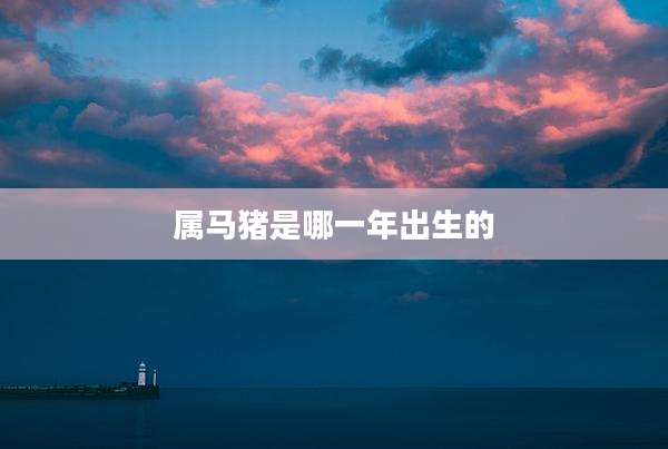 属马猪是哪一年出生的