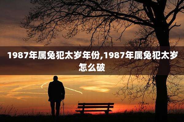1987年属兔犯太岁年份,1987年属兔犯太岁怎么破