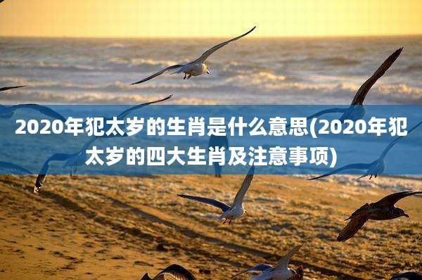 2020年犯太岁的生肖是什么意思(2020年犯太岁的四大生肖及注意事项)