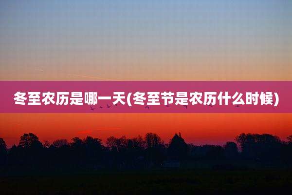 冬至农历是哪一天(冬至节是农历什么时候)